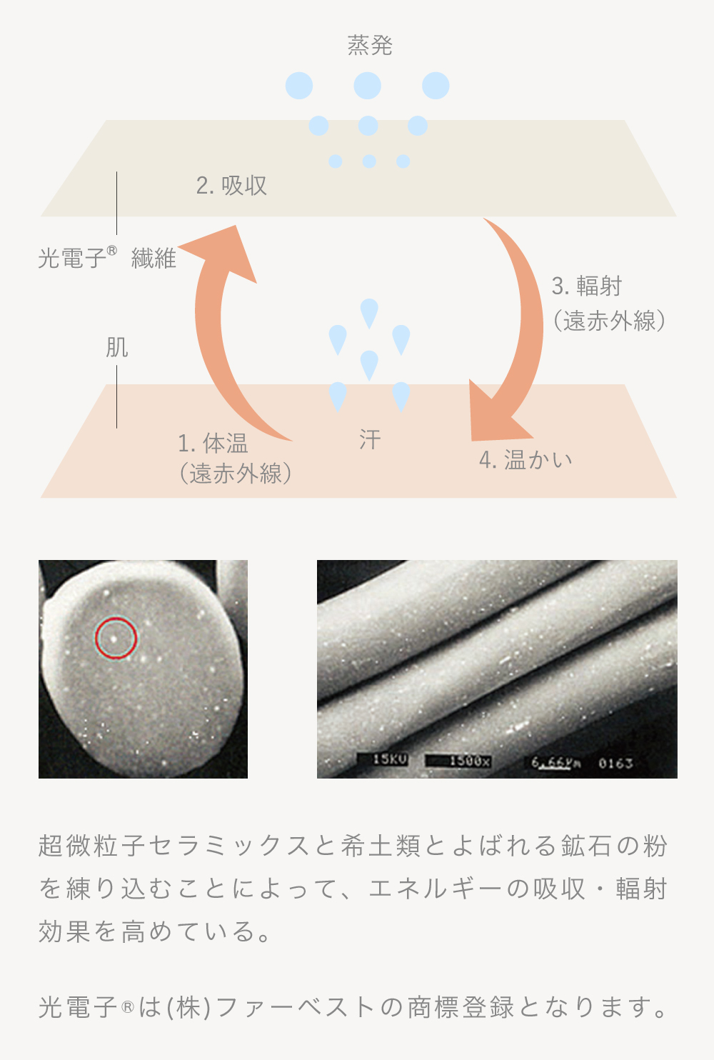 mukii 光電子　着圧ソックス《kyasharin　キャシャリン》