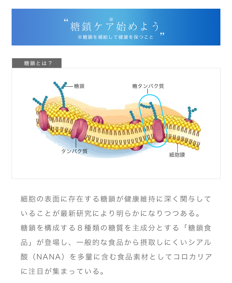 ぷる肌プラ巣