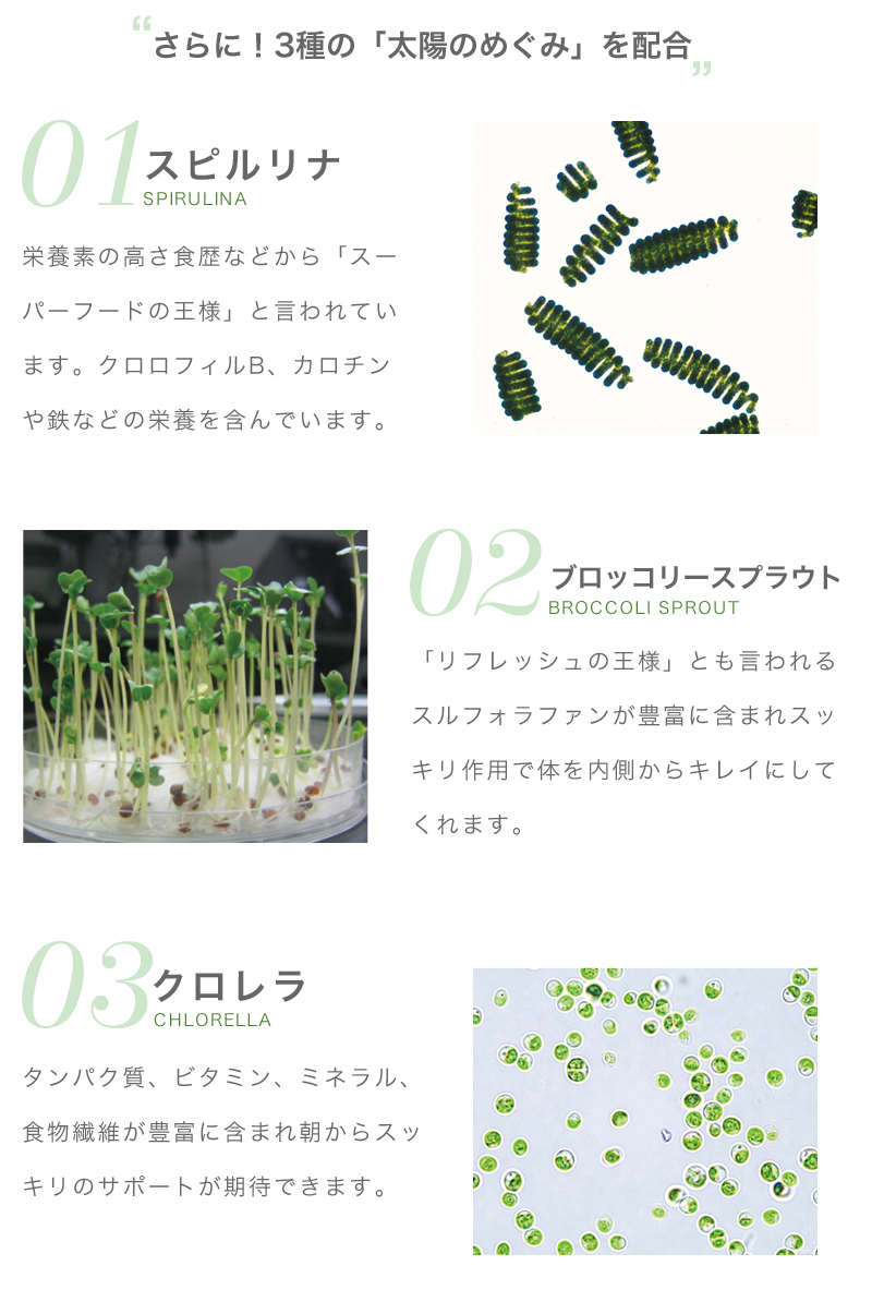 【通常販売】Vegeholic　ベジホリック　11月30日ごろお届け分　 ※注文後のキャンセルは大変恐縮ですがお断りしております。分包タイプ1箱3g×32袋入り☆送料無料☆（ネコポスの為日付・時間指定等はできかねます）